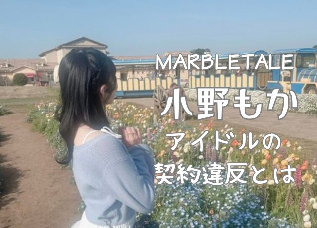 アイドルの啓違反とはどんな内容?